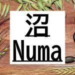 沼